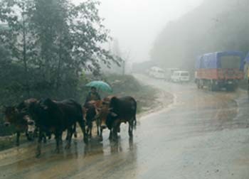 A northerly cold front will bring showers to northern Vietnam on June 1 (Filed photo: VNN) A northerly cold front will bring showers to northern Vietnam on June 1 (Filed photo: VNN)